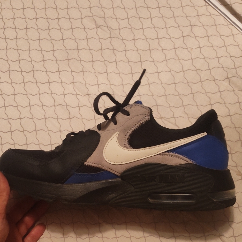 Nike Black and Blue Air Max Sneakers